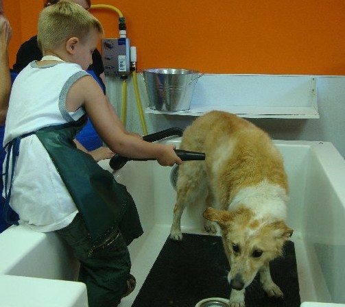 Wash Wag Self and Full Serve Dog Wash