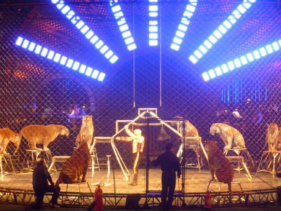 Opening night of Ringling Bros. and Barnum Bailey Fully Charged Circus