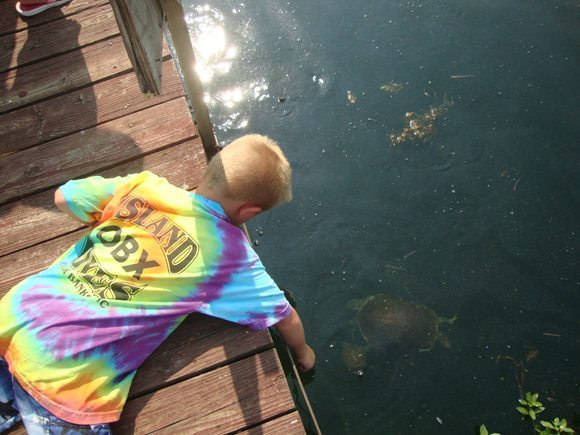 Elijah feeding turtles in OBX tie dyed shirt picture of Elijah feeding turtles in OBX tie dyed shirt