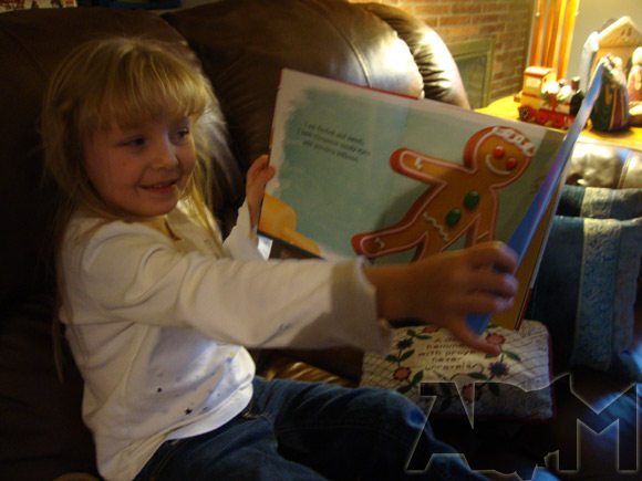 What Am I? Christmas Life-the-Flap book picture of What Am I? Christmas Life-the-Flap book