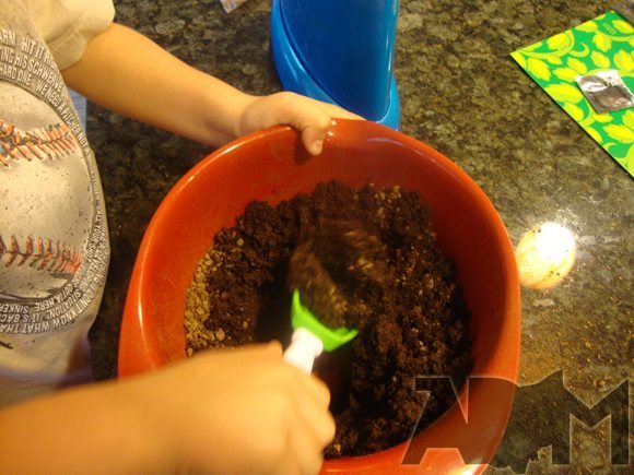 Miracle-Gro Kids Gardening Kit picture of Miracle-Gro Kids Gardening Kit