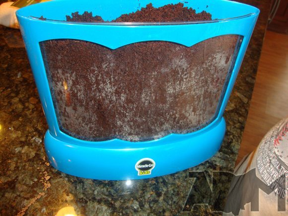 Miracle-Gro Kids Root Viewer picture of Miracle-Gro Kids Root Viewer