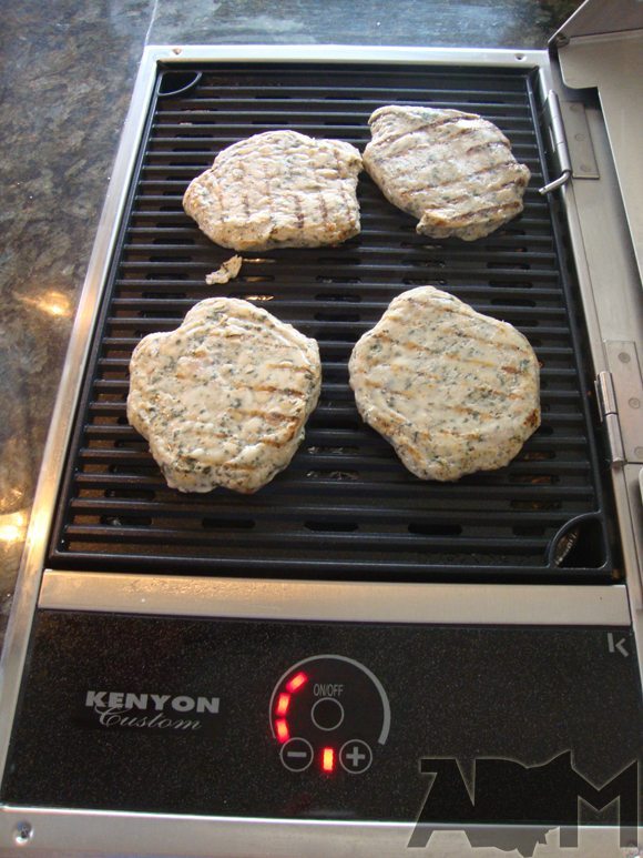 Countertop Grill Indoor