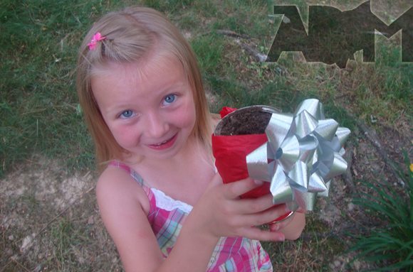 Planting seeds in can picture of Planting seeds in can