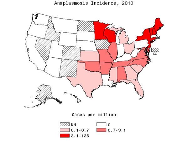 Anaplasmosis Incidence Map
