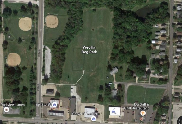 Top 10 Dog Parks Near Akron Akron Ohio Moms