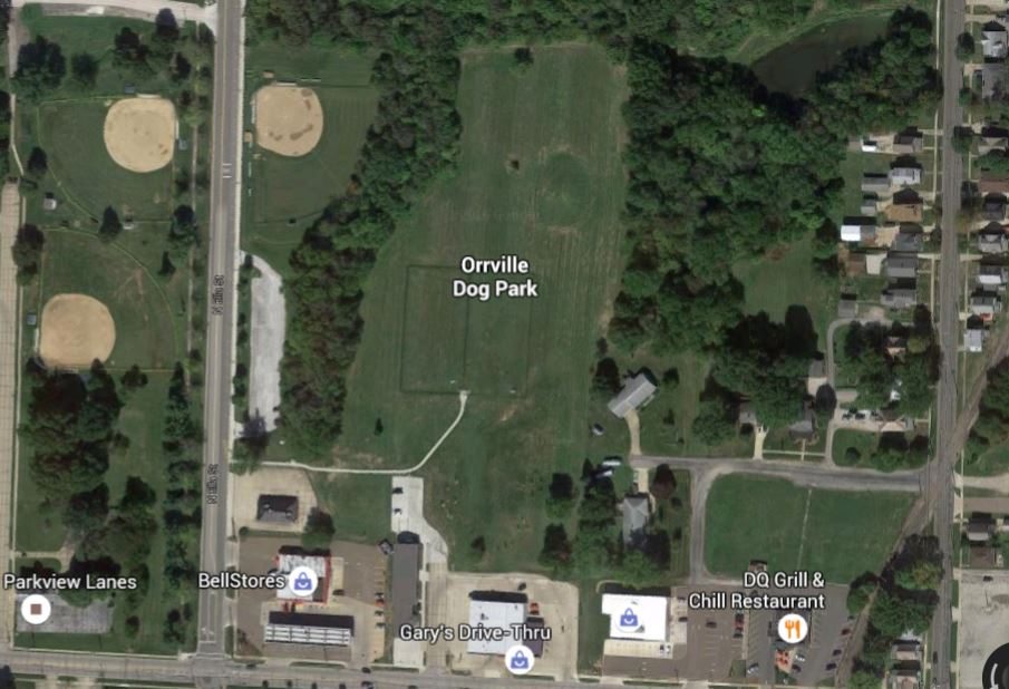 Top 10 Dog Parks Near Akron Akron Ohio Moms