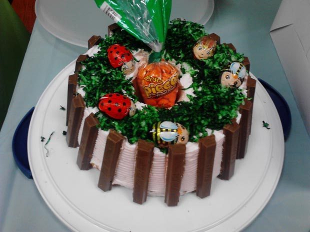 Book Themed Cakes (13)