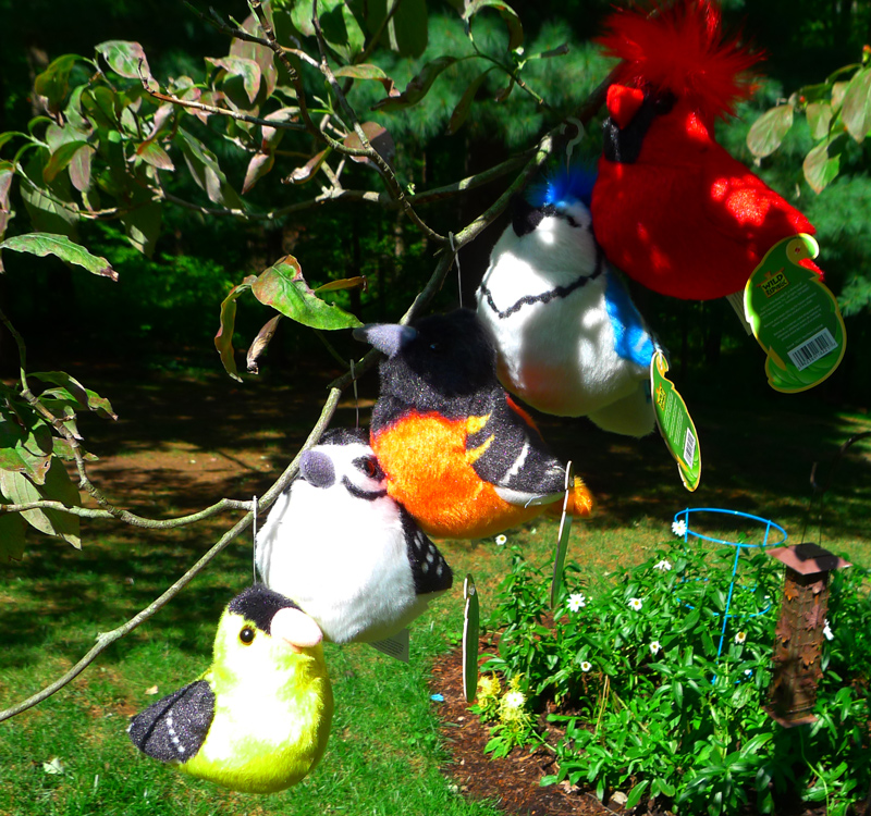 Bring Birding into Your Home YearRound with Wild Republic Audubon