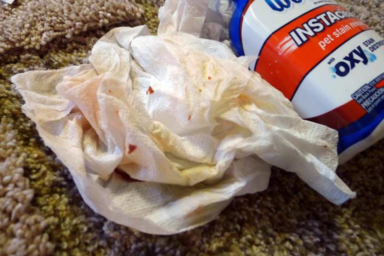 Remove Tough Stains in 30 Seconds with INSTAclean Akron Ohio Moms