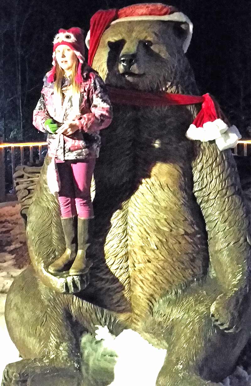 Akron Zoo's Wild Lights Returns for a new generation! Akron Ohio Moms