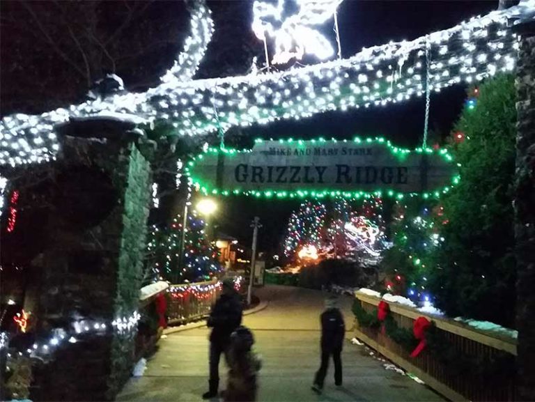 Akron Zoo's Wild Lights Returns for a new generation! Akron Ohio Moms