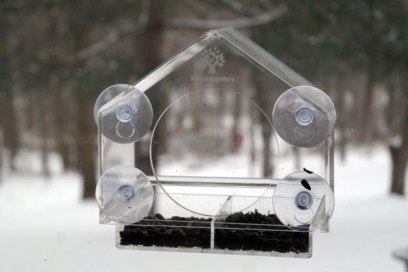 We Love Our BirdsIView Window Bird Feeder Akron Ohio Moms