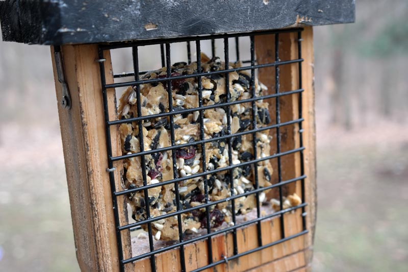 DIY Bird Suet Recipe Made with ChickfilA Containers Akron Ohio Moms
