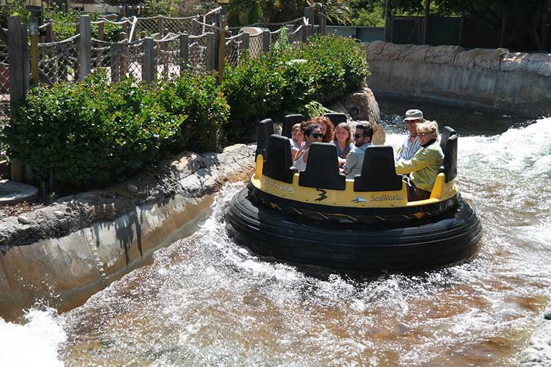Making Memories at Sea World in San Diego - Akron Ohio Moms