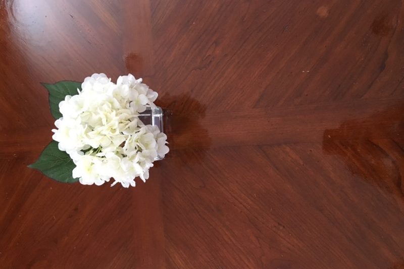 Bring Spring Indoors Silk Plants Direct *Coupon Code Akron Ohio Moms