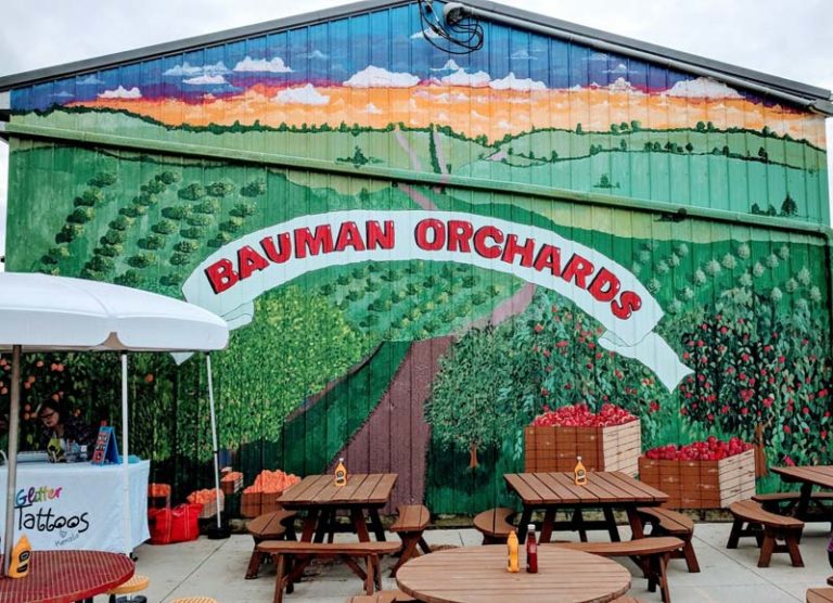 Pick Your Own Apples in Rittman + Apple Festival at Bauman Orchards