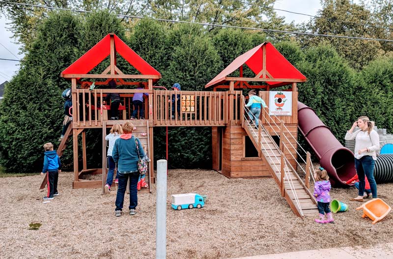 Pick Your Own Apples in Rittman + Apple Festival at Bauman Orchards