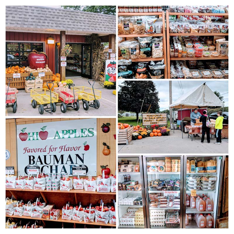 Pick Your Own Apples in Rittman + Apple Festival at Bauman Orchards