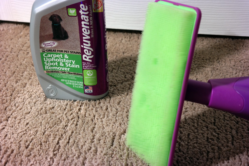 Easy Carpet Spot Cleaning with Rejuvenate Akron Ohio Moms