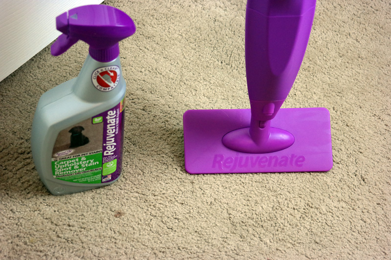 Easy Carpet Spot Cleaning with Rejuvenate Akron Ohio Moms