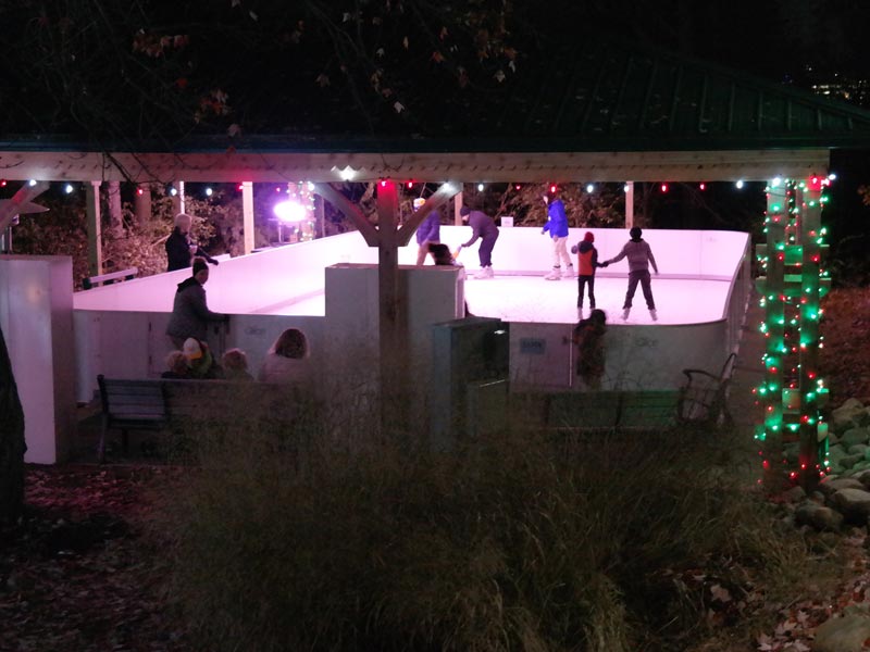 Visit Akron Zoo Wild Lights for Christmas Fun Akron Ohio Moms