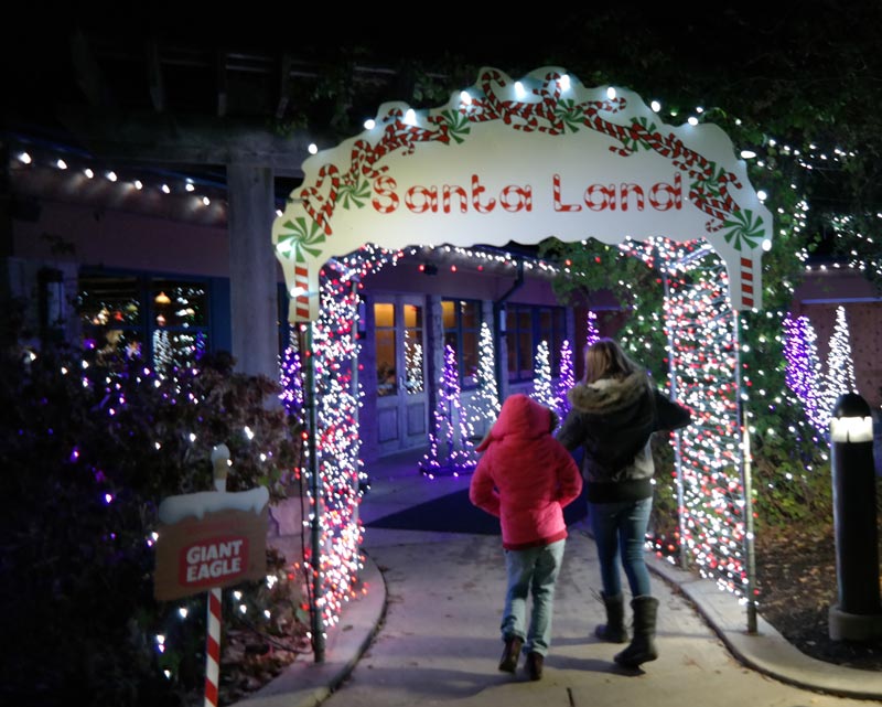 Visit Akron Zoo Wild Lights for Christmas Fun Akron Ohio Moms