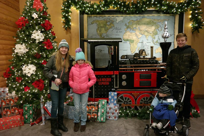 Visit Akron Zoo Wild Lights for Christmas Fun Akron Ohio Moms
