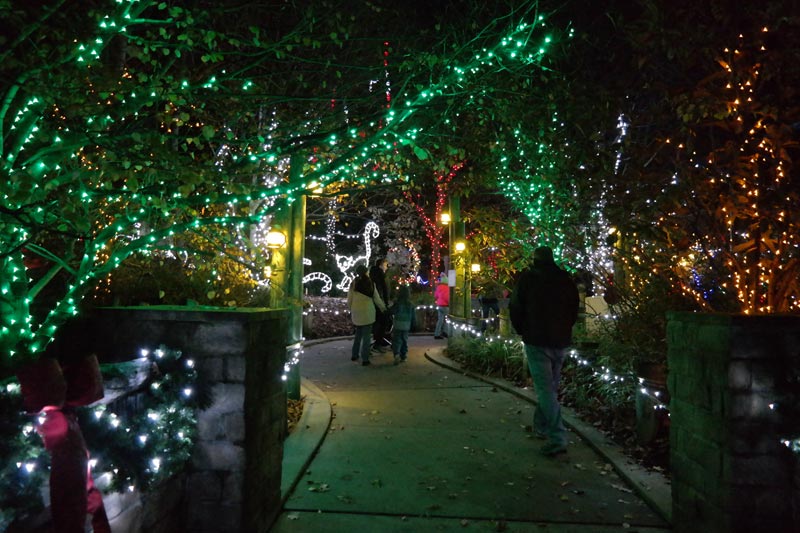 Visit Akron Zoo Wild Lights for Christmas Fun Akron Ohio Moms