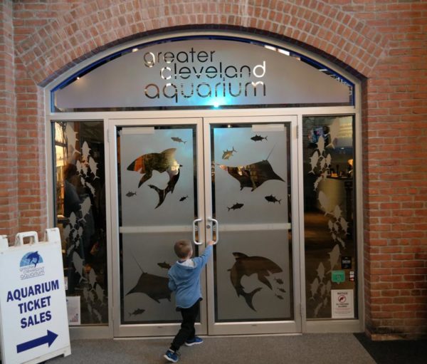 Experience the Updated Greater Cleveland Aquarium! Akron Ohio Moms