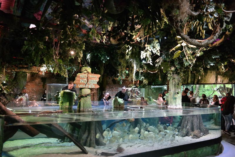 Experience the Updated Greater Cleveland Aquarium! Akron Ohio Moms