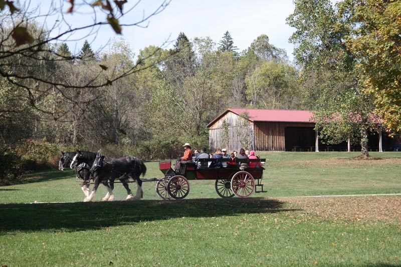 Full Day of Fun at Hale Farm & Village Harvest Festival in Bath, Ohio ...