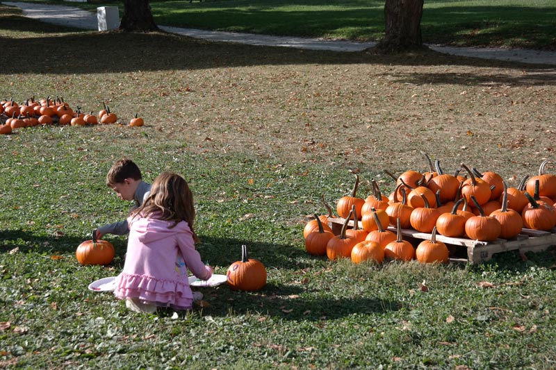 Full Day of Fun at Hale Farm & Village Harvest Festival in Bath, Ohio