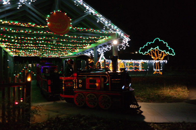 Make Wild Lights at the Akron Zoo a Christmas Tradition Akron Ohio Moms