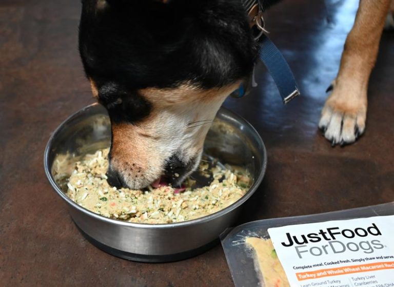 Fresh Dog Food Makes All the Difference JustFoodForDogs Akron Ohio Moms