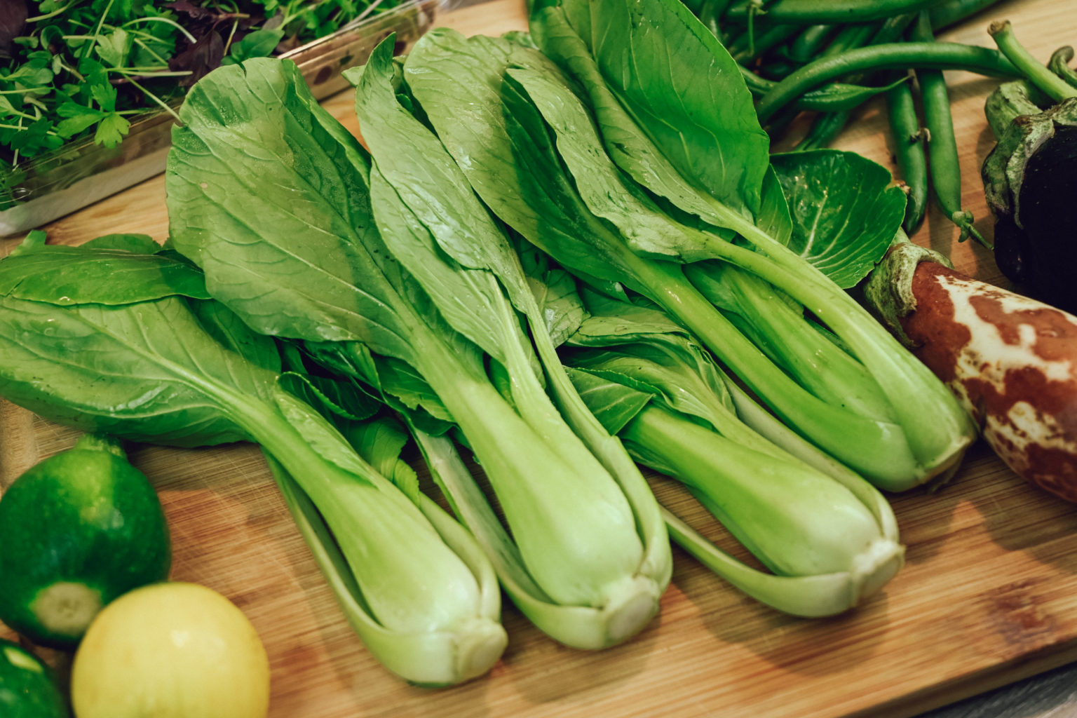 Baby Bok Choy and Eggplant in Garlic Sauce Vegetable Bowl Recipe