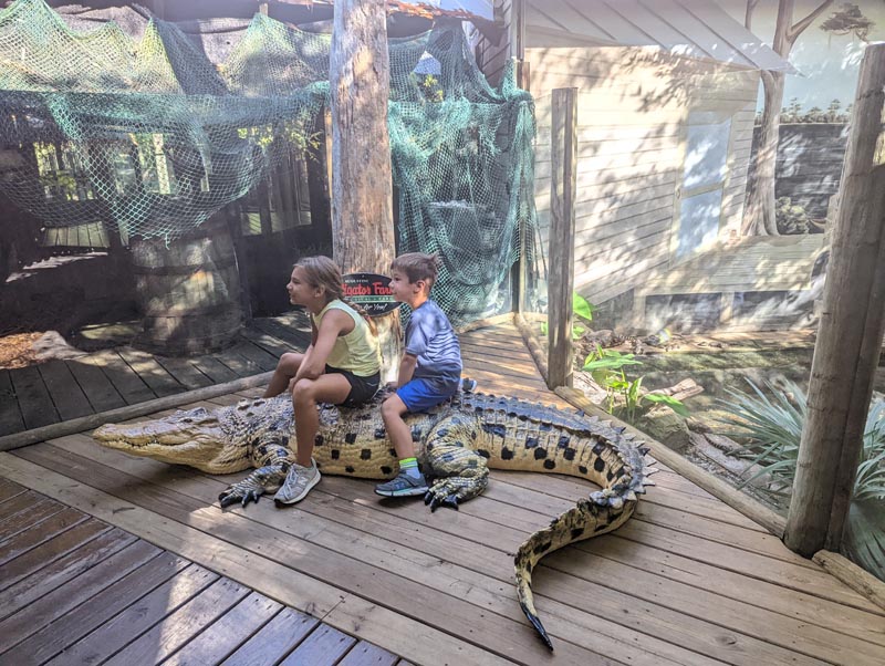 where to see and ride a alligators in florida st. augustine