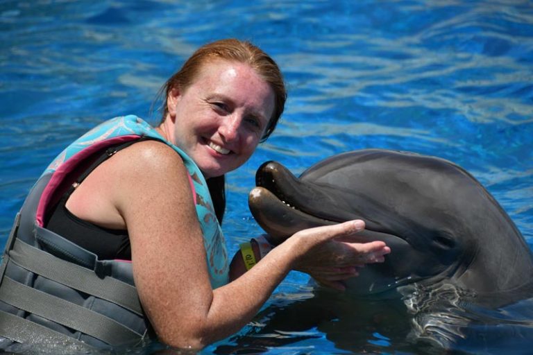 Swim with Dolphins in Florida at Marineland Dolphin Adventure Akron