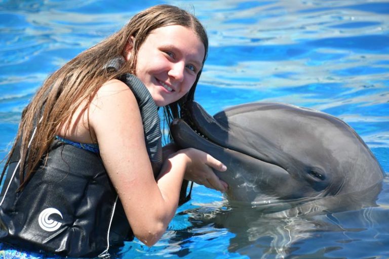 Swim with Dolphins in Florida at Marineland Dolphin Adventure Akron