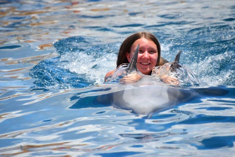 Swim with Dolphins in Florida at Marineland Dolphin Adventure Akron