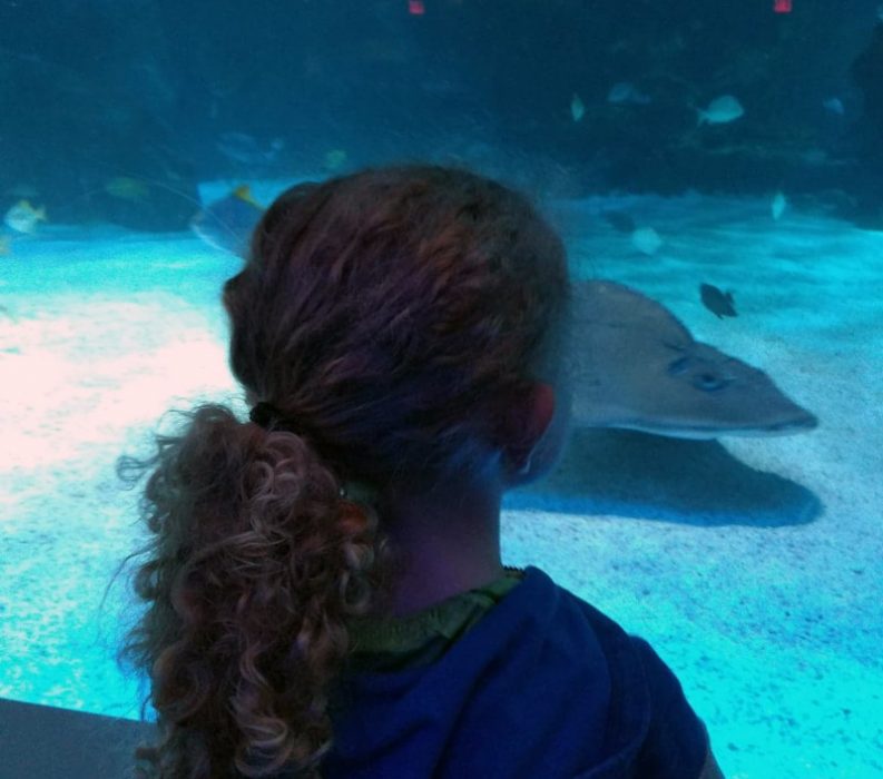 Over the Ohio River to Newport Aquarium! Akron Ohio Moms