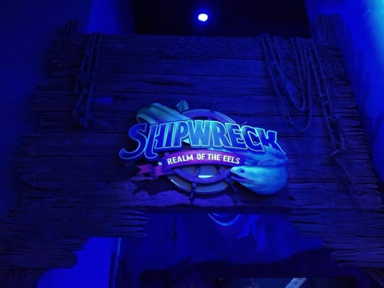 Over the Ohio River to Newport Aquarium! Akron Ohio Moms