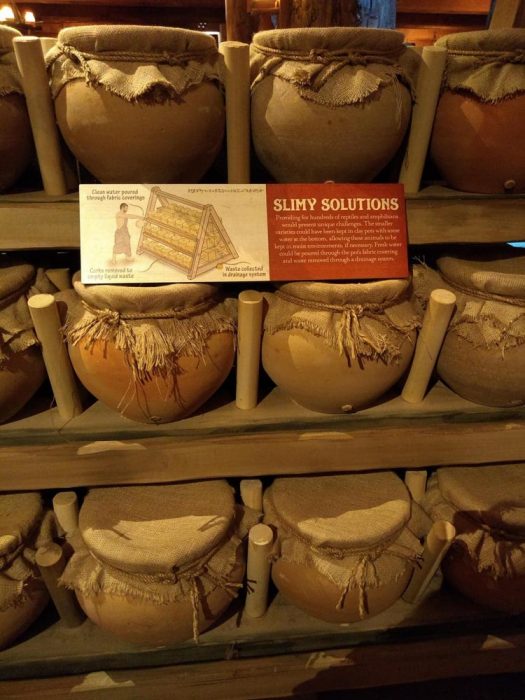 Ark Encounter Review: Life-size Noah's Ark - Akron Ohio Moms