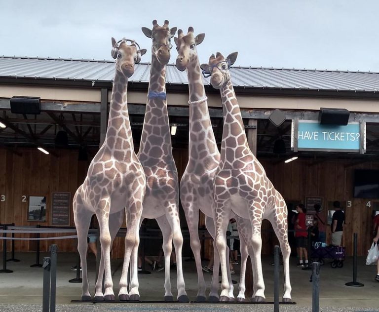 Ark Encounter Review: Life-size Noah's Ark - Akron Ohio Moms