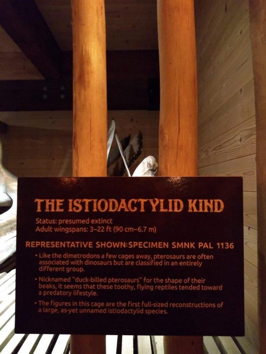 Ark Encounter Review: Life-size Noah's Ark - Akron Ohio Moms