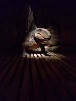 Ark Encounter Review: Life-size Noah's Ark - Akron Ohio Moms