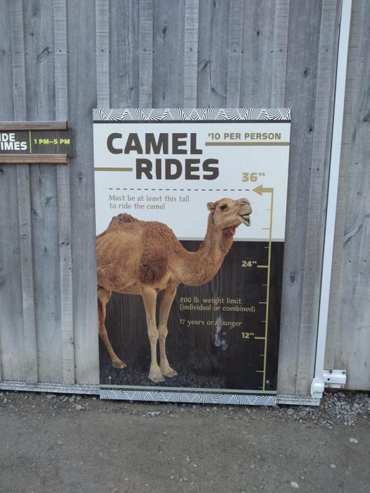 Ark Encounter Review: Life-size Noah's Ark - Akron Ohio Moms