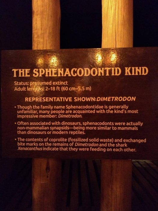 Ark Encounter Review: Life-size Noah's Ark - Akron Ohio Moms
