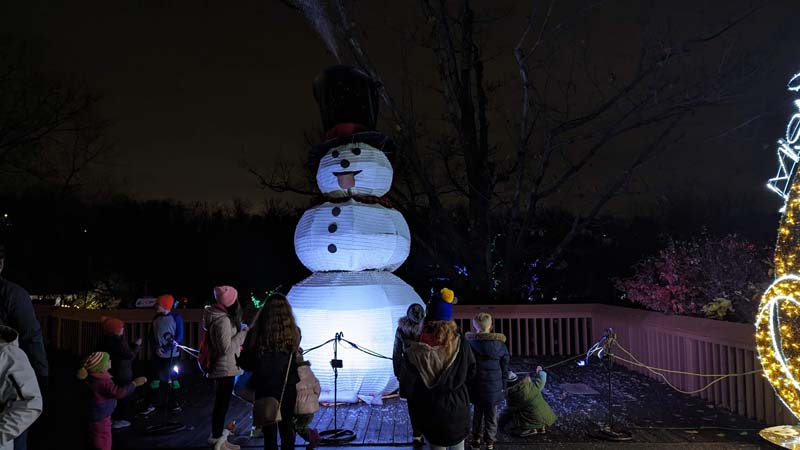 Christmas Lights Cleveland Cleveland Zoo Wild Winter Lights Review 