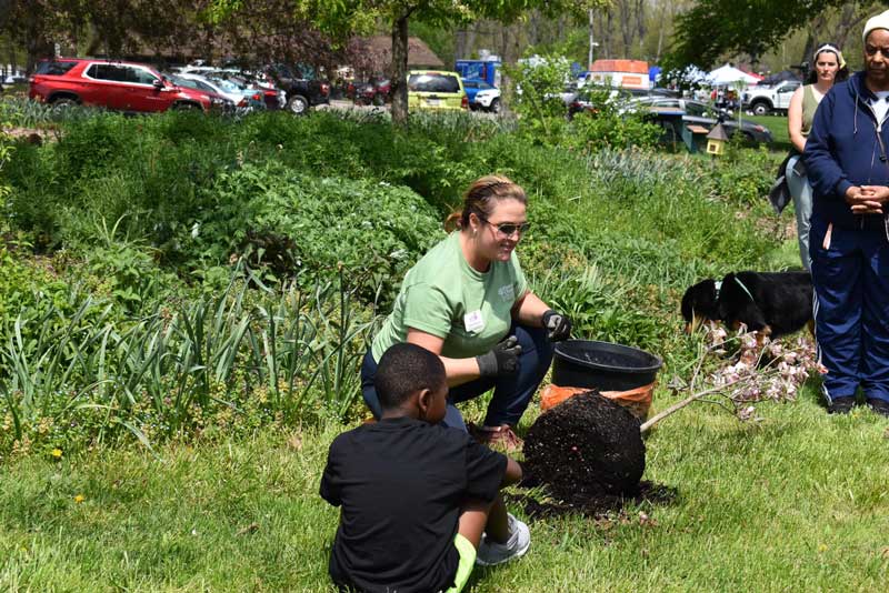 Akron 100,000 Trees Initiative